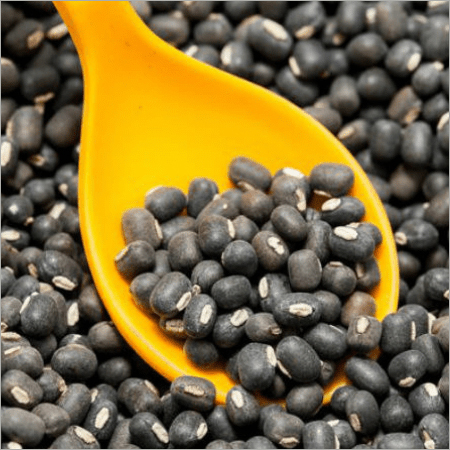 Urad Dal - Black Lentils, 99% Purity, 3 Months Shelf Life | Common Cultivation Type