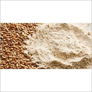 Wheat Flour