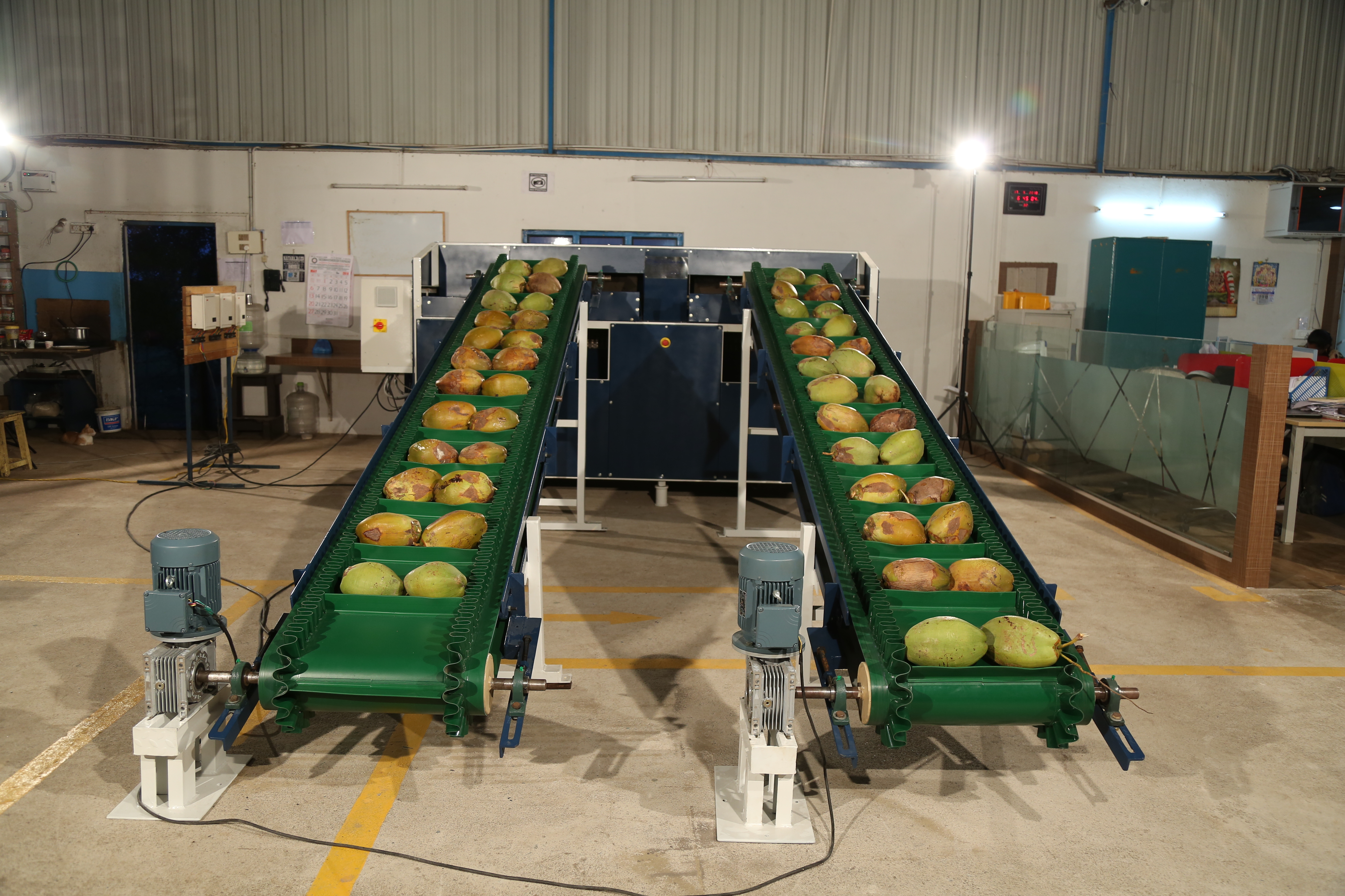 Coconut Dehusking Machine - Metal, 5000 Units/hour Capacity | Fully Automated, Plc Control, Easy Maintenance, 1 Year Warranty, Less Output Breakage