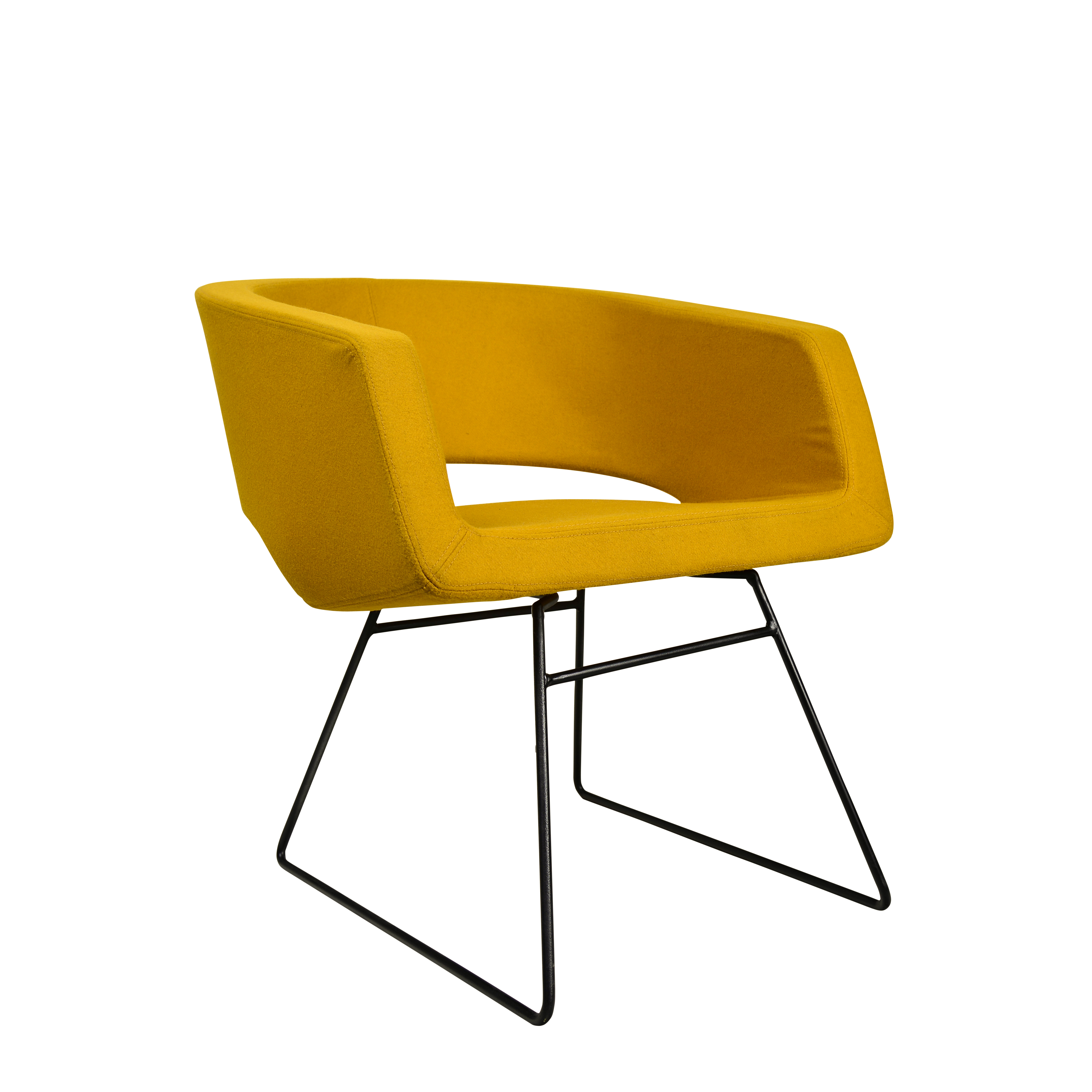 Bloom Lounge Chair
