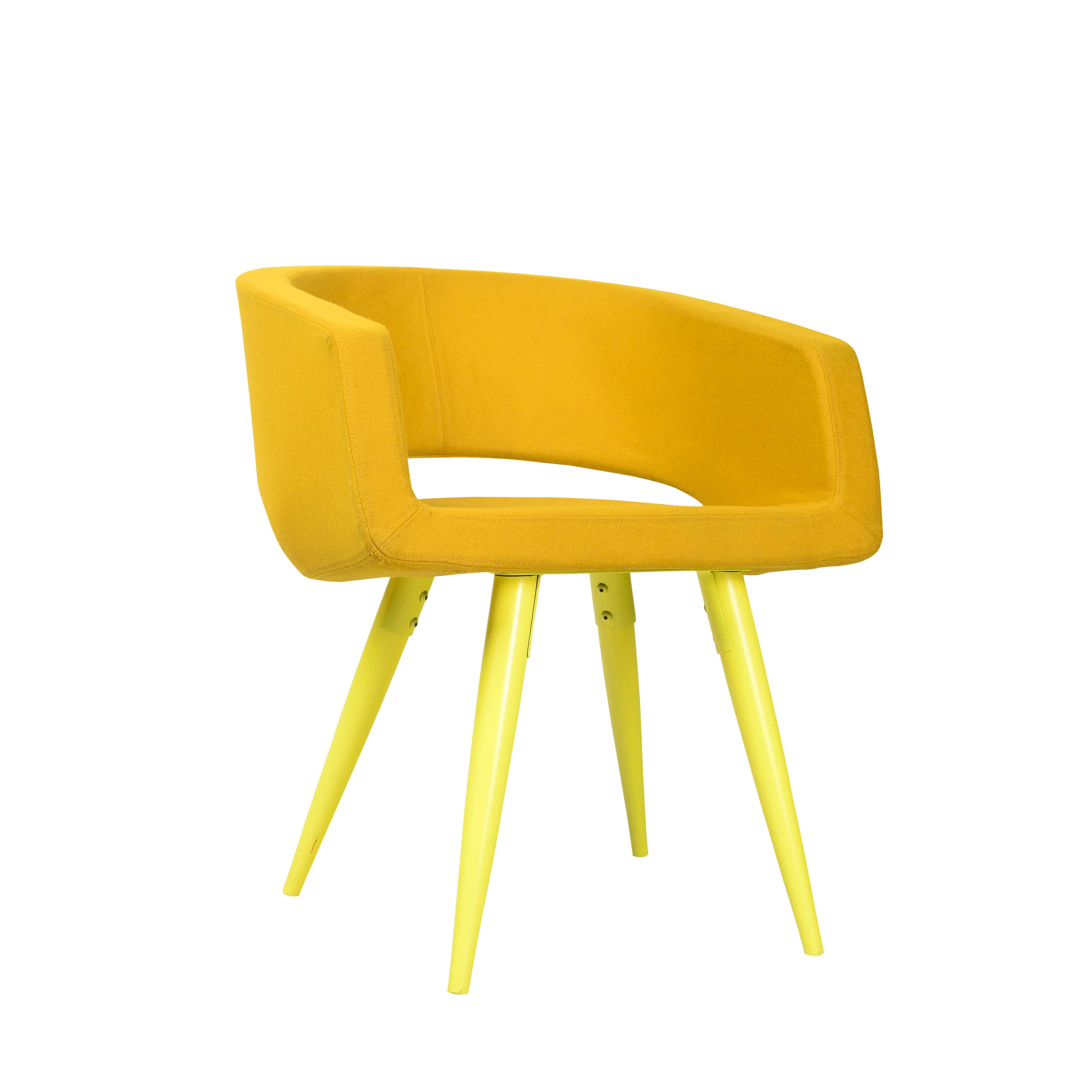 Bloom Lounge Chair