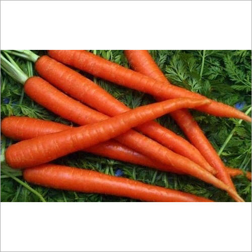 Carrot Shelf Life: 1 Months