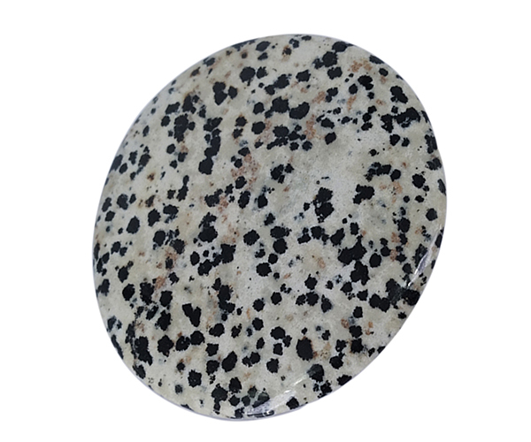 White Perfect Dalmatian Loose Gemstone