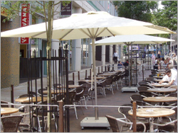 पार्टी छाते