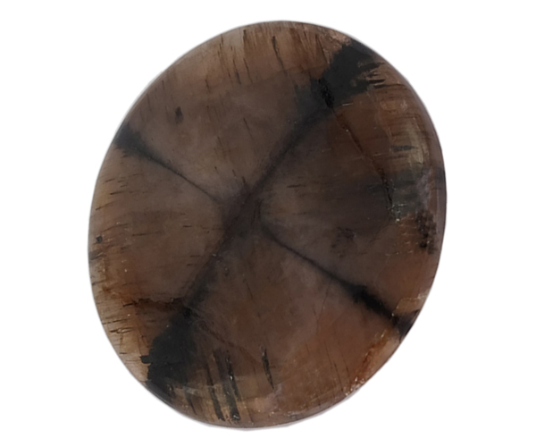 Brown Powerful Chiastolite Loose Gemstone