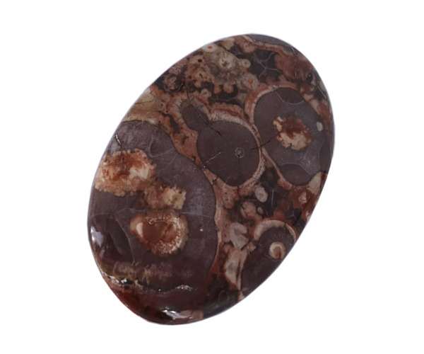 Synergy Bird Eye Precious Gemstone - Free Size Brown Natural Stone 24.5 Grams | Unique Loose Gemstone For Jewelry Creation