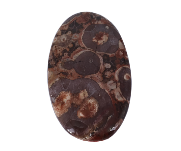 Synergy Bird Eye Precious Gemstone - Free Size Brown Natural Stone 24.5 Grams | Unique Loose Gemstone For Jewelry Creation
