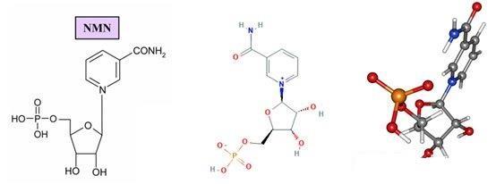 Nicotinamide Mononucleotide,precursor Of Nad+, Nmn, Beta Nmn Usage: Rearch