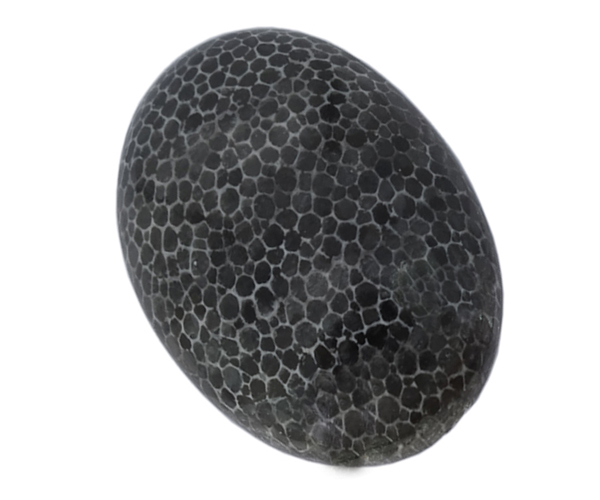 Black Snake Fossil Gemstone - Free Size, 13.7 Gms, Natural Black Color, Oiled Treatment, Ideal For Jewelry Making