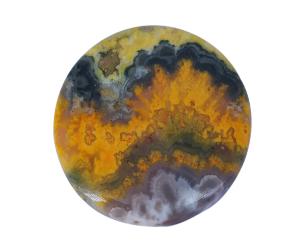 Multi Energetic Bumble Bee Jasper Stone
