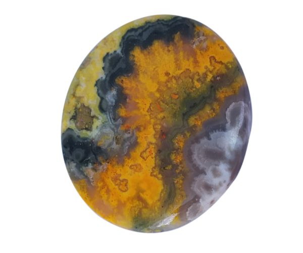 Multi Energetic Bumble Bee Jasper Stone