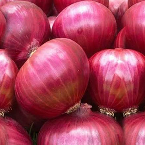 प्याज