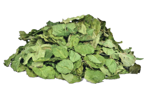 Moringa Oleifera - Dried Herbs | 100% Natural Ingredients, Suitable for All Ages, Store in a Dry Place