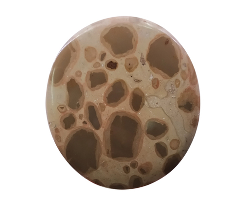 ब्राउन अमेजिंग पावरफुल कोबरा जैस्पर स्टोन