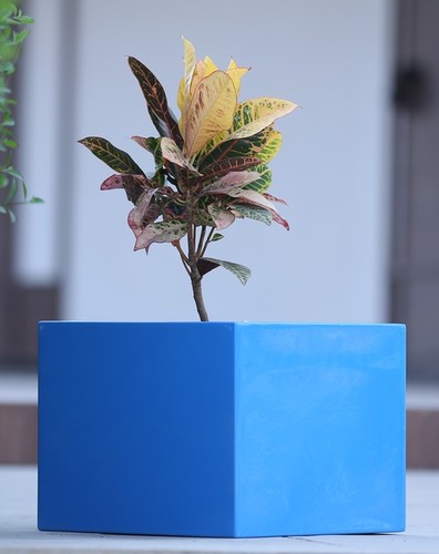 Any Frp Planter