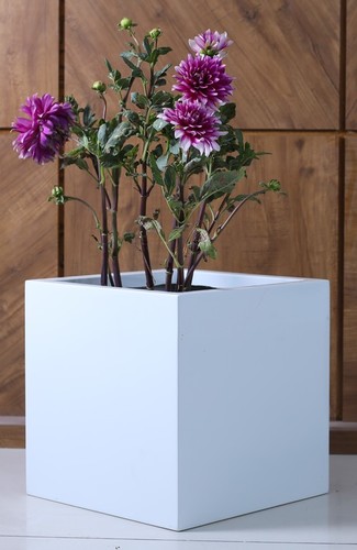 Any Frp Flower Pots