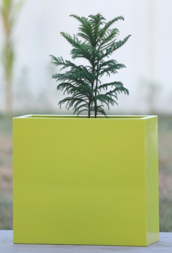 Any Yellow Frp Planters