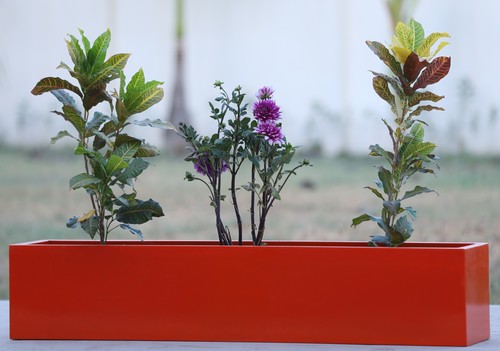 Any Fiberglass Planters