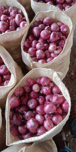 Fresh Onion - Medium Size, Round Shape | Firm Texture, Red Color, Packaged in Sack for Optimal Storage