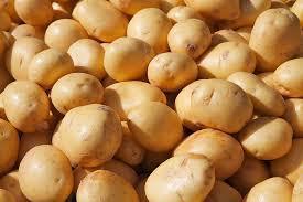 Organic Potatoes