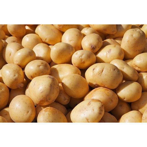 Fresh Potato - Medium And Small Size | Naturally Grown, Enriched With Vitamins And Minerals, Quality Assured
