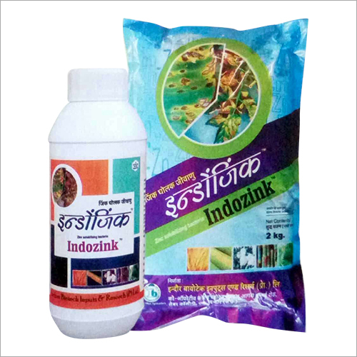 जिंक घुलनशील बैक्टीरिया