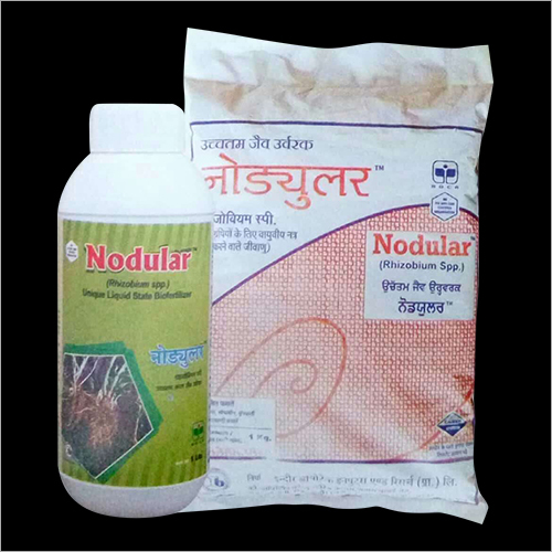 राइजोबियम जैव उर्वरक