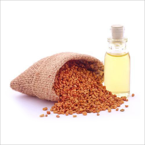 Fenugreek Oil - 100% Pure Herbal Extract, Made from Quality Seeds | Long Shelf Life of 3 Years, Best Stored in Dry Place