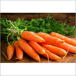 Carrot