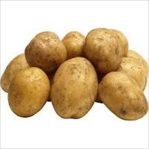 Potato