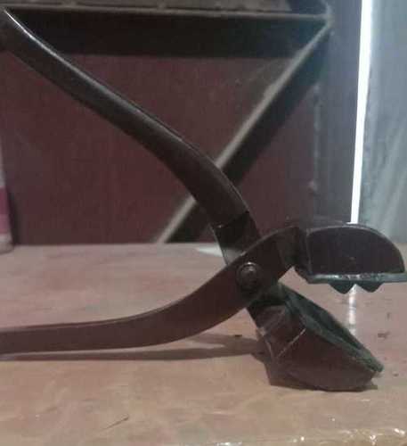 स्ट्रेचर (पाकड़)