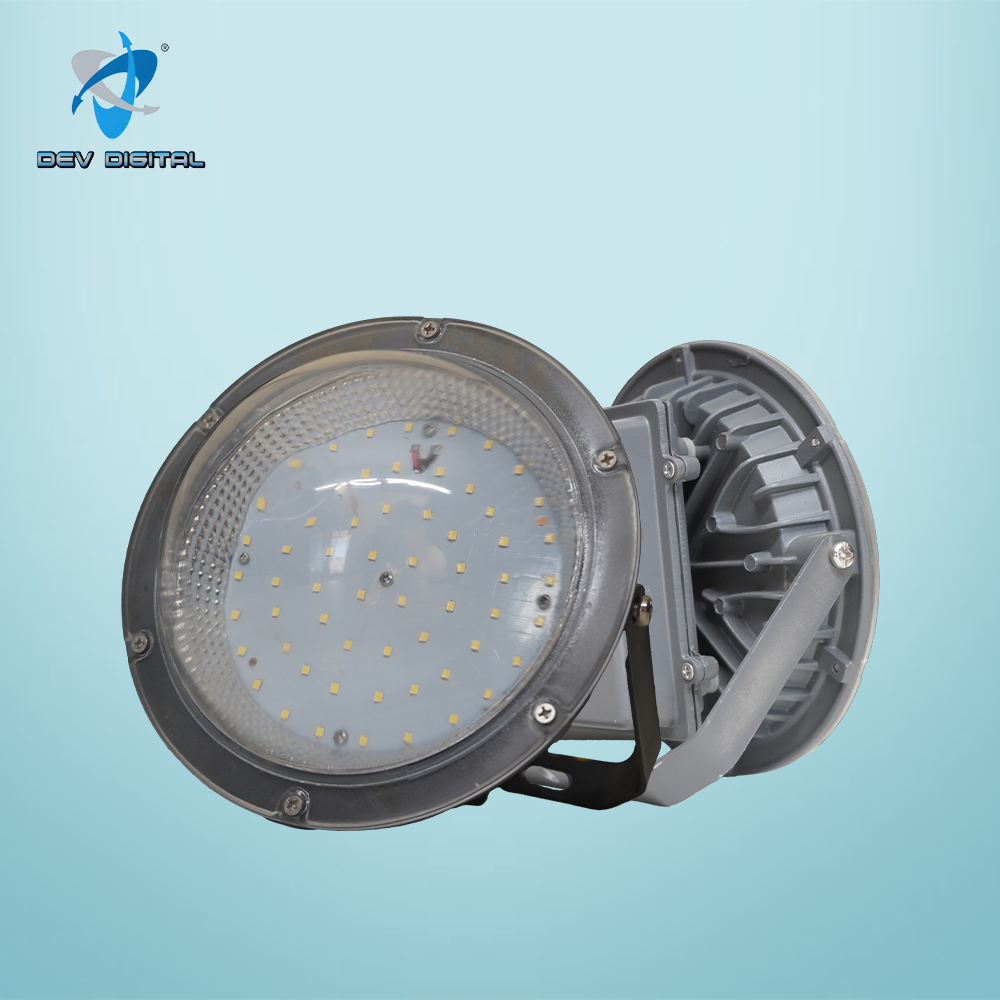 लेड वेल ग्लास लाइट - 60W (कोरोना) अनुप्रयोग: व्यावसायिक उद्देश्य