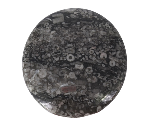 Brown Exciting Synergy Black Fossil Stone