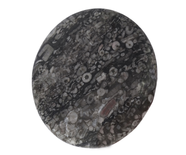 Brown Exciting Synergy Black Fossil Stone