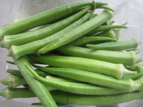 भिंडी / ओकरा भंडारण सुविधाएँ