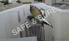 Anti Bird Net