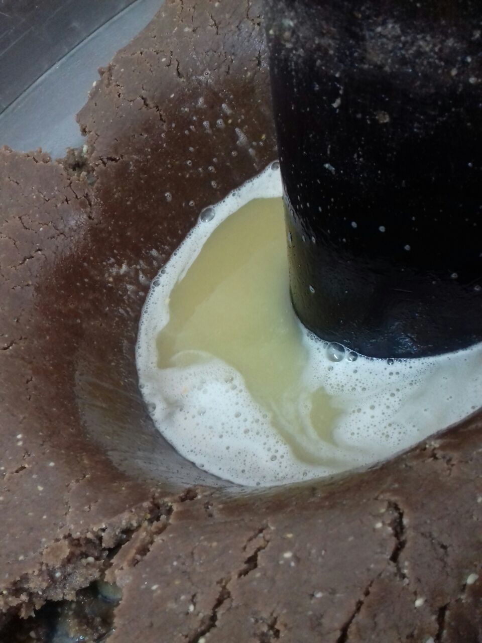 Cold Pressed Oil Shelf Life: 6 Months