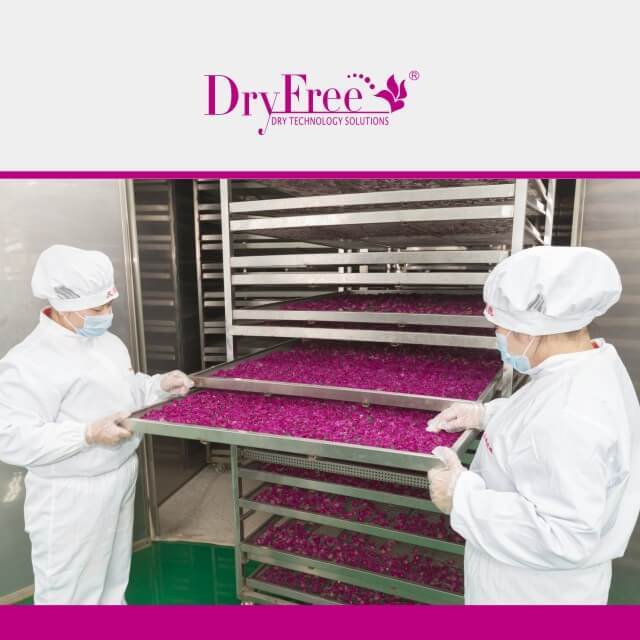 Rose Petal Drying Machine Dimension(l*w*h): 2550x1664x1300 Millimeter (Mm)