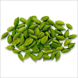 इलायची
