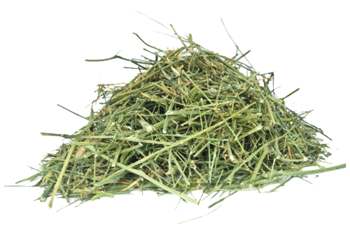 Andrographis Paniculata Age Group: Suitable For All