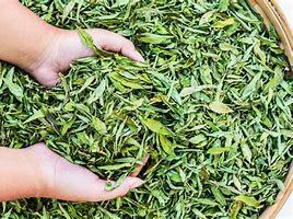 सूखी स्टेविया की पत्तियाँ