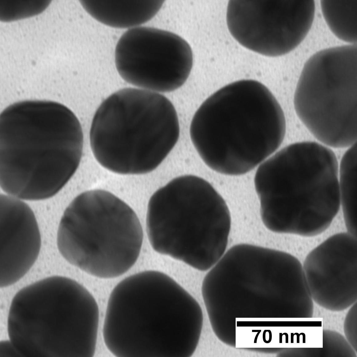 Biopure Silver Nanospheres Bare (Citrate)