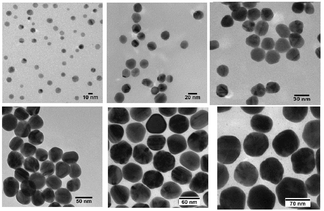 Biopure Silver Nanospheres Bare (Citrate)