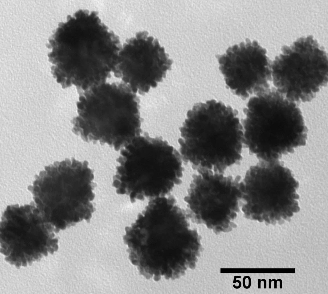 Nanoxact Platinum Nanoparticles - 0.05 Mg/ml In Aqueous Sodium Citrate, 5-70 Nm Sizes, Biopure Quality, Unagglomerated, Monodisperse