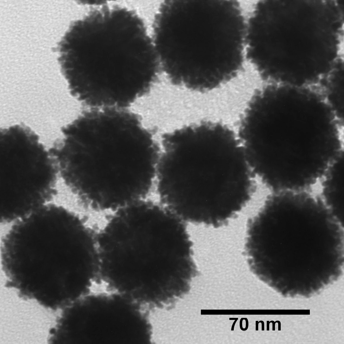Nanoxact Platinum Nanoparticles - 0.05 Mg/ml In Aqueous Sodium Citrate, 5-70 Nm Sizes, Biopure Quality, Unagglomerated, Monodisperse