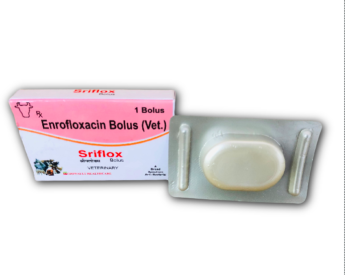 Enrofloxacin Veterinary Injection - 99 Ml Liquid, Broad Spectrum Antibiotic For Bacterial Infections, Safe And Effective Usage