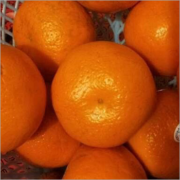 Liquid New Orange Flavour