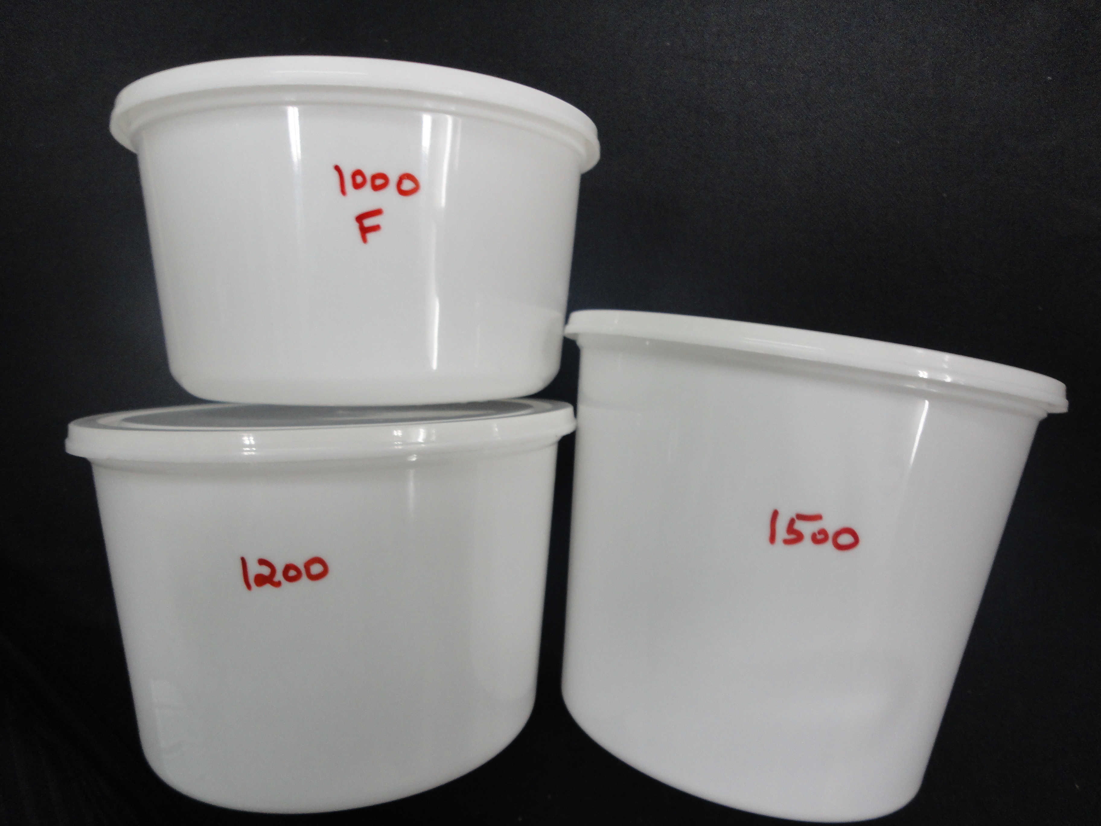 Plastic Food Container