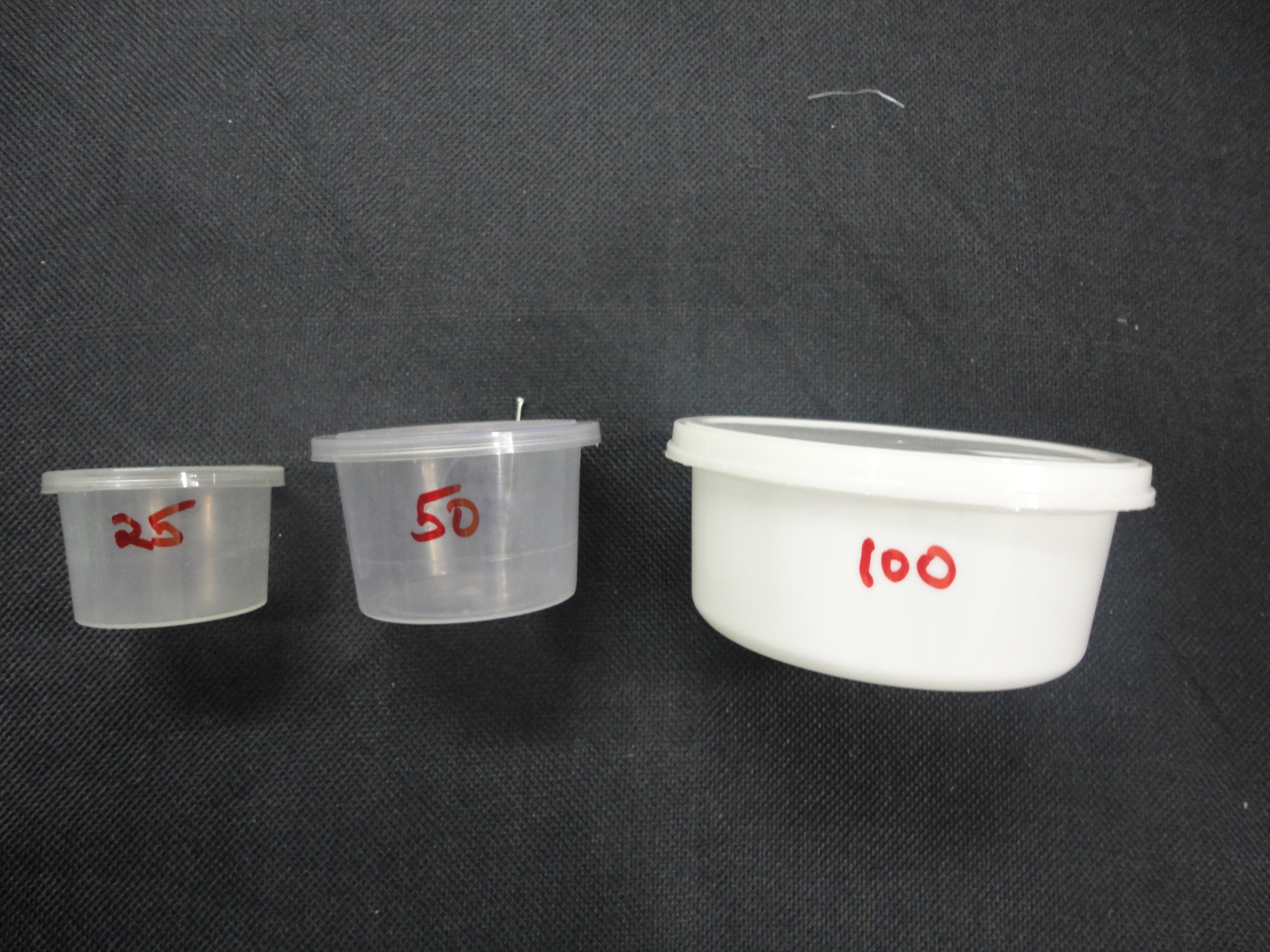 Plastic Food Container
