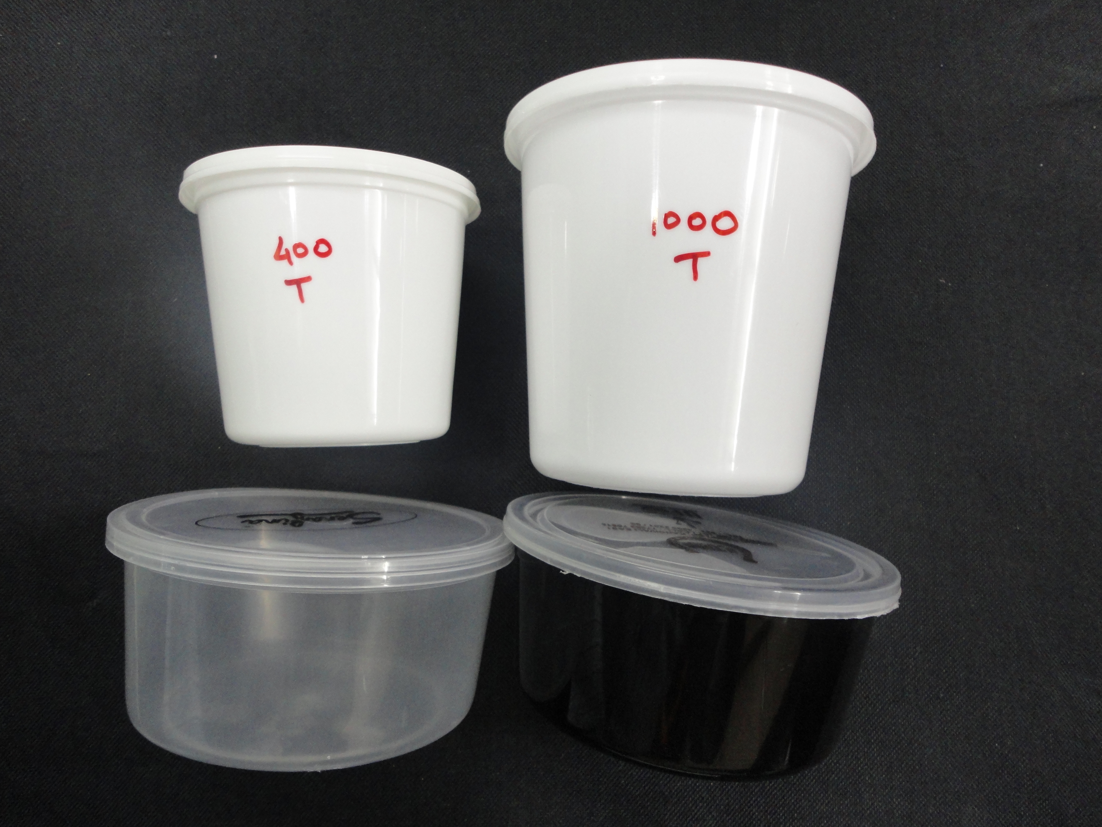 Plastic Food Container